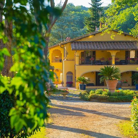 Villa Poggio Di Gaville Мелето Экстерьер фото